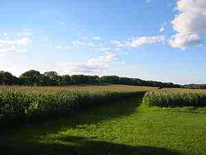 field drainage