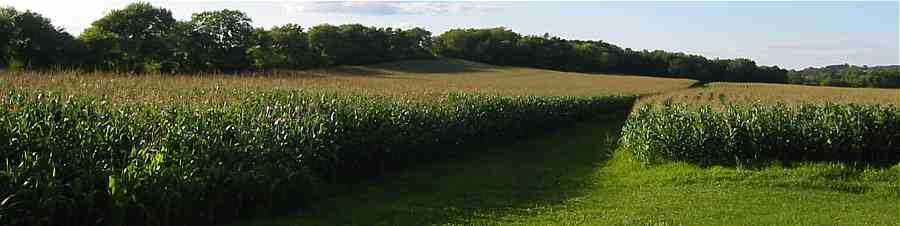 field drainage